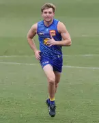 Eagles Midfielder Tom Gross Patiently Aims for AFL Return After Strong WAFL Form