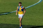 Eagles WAFL Report: Starcevich, Duff-Tytler Debut in Loss to Sharks