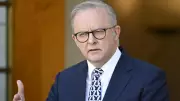 Foolish Albanese Ignored Labor's Own Economic Alarm Bells