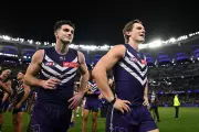 Fremantle Dockers Chase Ninth Straight AFL Win Against Essendon