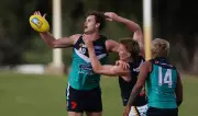 Fremantle must take cautious approach with Sean Darcy's return