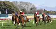 Glorious Moments Set for Stellar Return at Warwick Farm on Wednesday
