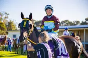 GoFundMe for WA jockey Renee Forrest after horrific horse float crash