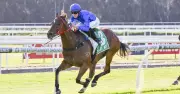 Gosford Saturday Racing Preview and Expert Tips for May 7