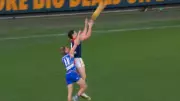 Harvey Langford's dropped mark costs Melbourne in three-point loss to Bulldogs