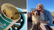 How Mussel Powder Can Slash Your Pet's Vet Bills