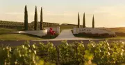 Hunter Valley's New Luxury Resort Aims to Boost Regional Economy