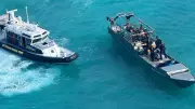 Indonesian Poachers Jailed for 300kg Sea Cucumber Haul in Torres Strait