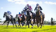 Jimmy Angel Tips Big Week for Russell Stewart at Rogan Josh Stakes