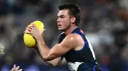Kane Cornes puts North Melbourne star Colby McKercher on notice over concerning stat