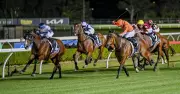 Kensington Racing Tips: Mafia Poised for Victory in Race 6