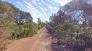 Man dies, three injured in WA rural car crash