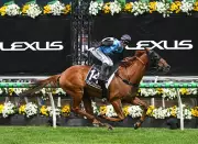 Melbourne Cup winner Half Yours under injury cloud before Doomben Cup