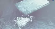 Michael Zadel: Fish Shop Owner Sentenced for Drug Supply