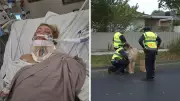 Mother of Five in Induced Coma After Hit-and-Run E-Scooter Crash