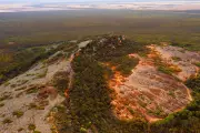 Mount Ridley Mines Begins Phase One Metallurgical Tests at Grass Patch