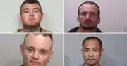 Newcastle Herald Live: Wanted Warrants, Property News, and More