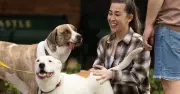 Newcastle's First Pets Life Festival: A Paradise for Animal Lovers