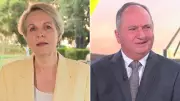 One Nation's Historic Farrer Win Sparks Fiery Political Clash