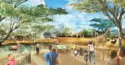 Perth Zoo’s $20M Expansion to Triple Giraffe Habitat Size