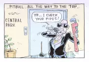 Pitbull's Pipes Advice Hits Home as Perth Skyscraper Leaks Floods Floors