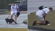 Police Hunt Man Accused of Abusing Dog at Popular Gold Coast Beach