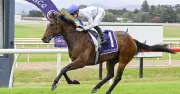 Queen's Rhapsody Set to Strike Again at Canterbury Park Meeting