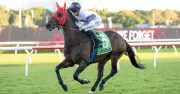 Randwick Saturday Racing Tips and Preview for May 21