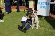 RSPCA WA free community day for Gosnells pet owners amid cruelty spike