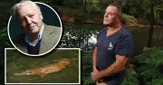 Sir David Attenborough Secretly Films Platypus in Kangaroo Valley