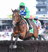 Stern Idol sets weight-carrying record with second Brierly Steeplechase win