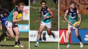 Three Dockers in contention to replace injured captain Alex Pearce