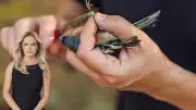 Time to Rethink Anti-Bird Idioms: From Birdbrain to Wild Goose Chase