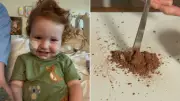 Toddler's Hospitalisation Triggers Recall of Toxic Cake Powders Nationwide