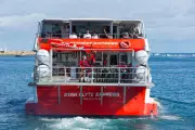 Tourists Stay Cautious After Fatal Shark Attack at Rottnest Island