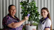 Townsville Urged to Turn Purple for Domestic Violence Awareness