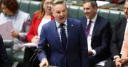 Treasurer Chalmers Saves $638 Billion Without Tax Hikes