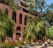 Up to 836 Trees Could Be Removed for Former ECU Mt Lawley Redevelopment