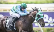 WA-Owned Buthelezi Primed for Group 1 Queensland Derby