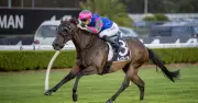 Warwick Farm Racing Tips: Super Bright Ready to Shine on Wednesday