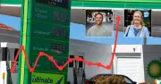 Wollongong Households Boost Spending on Essentials, ABS Data Shows