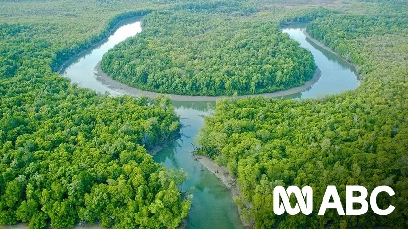 Cape Alumina Abandons Bauxite Mine Project, Blames Wild Rivers Law