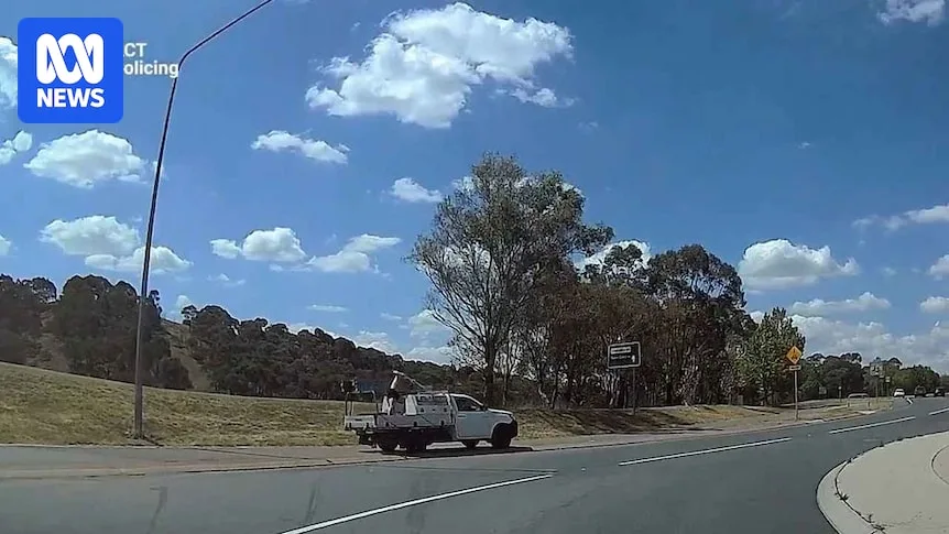Canberra Man Jailed for Road Rage, Fined for Nazi Salute at Synagogue