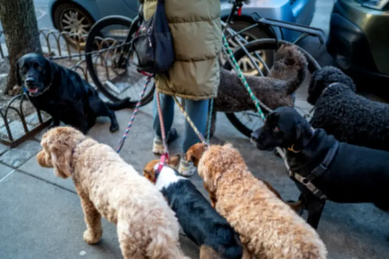 New York City Cracks Down on Growing Dog Waste Problem