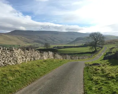 300 Years of Family Roots in Cumbria: A Country Diary Reflection