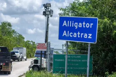 Alligator on Alcatraz Prompts Environmental and Immigration Inquiry