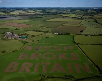 Assault on Facts and Truth Led to Brexit, New Report Finds