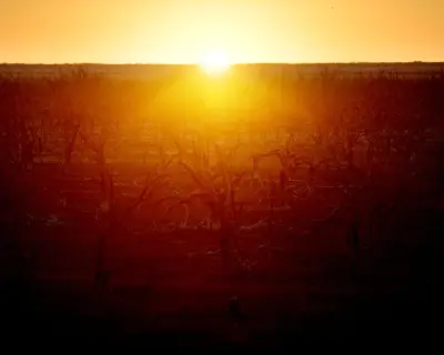 Australia Told to Prepare for Imminent El Niño Weather Event