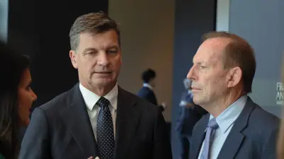 Bolt warns Abbott's return risks making Taylor 'look weak' as Coalition battles One Nation