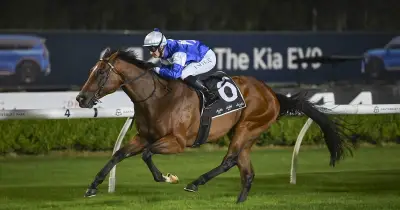 Canterbury Wednesday Racing Tips: Balkans Chases Fourth Win at Home Track